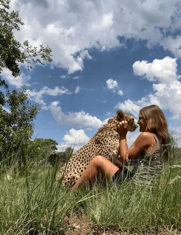 まるでペットの猫！女性の腕の中に飛び込み、気持よさそうに撫でてもらうのは・・、チーター？！！【海外・動画】