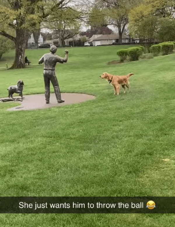 ボールを投げてくれそうな男性を見つけて、期待して待っている犬。でも、その人は絶対ボールを投げてくれないと思うよ・・・【アメリカ・動画】