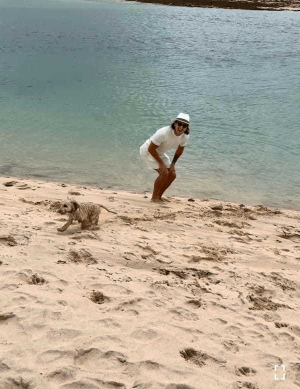 初めての海にはしゃぎすぎたミニチュア・ゴールデン・ドゥードルの子犬。何も知らずに飛び込んだ結果・・・【海外・動画】