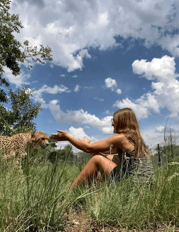 まるでペットの猫！女性の腕の中に飛び込み、気持よさそうに撫でてもらうのは・・、チーター？！！【海外・動画】