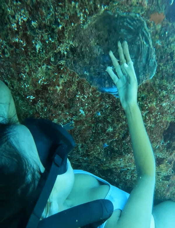 海底の岩の裏に潜る映像！海底にあった不思議な光景の映像に心奪われる