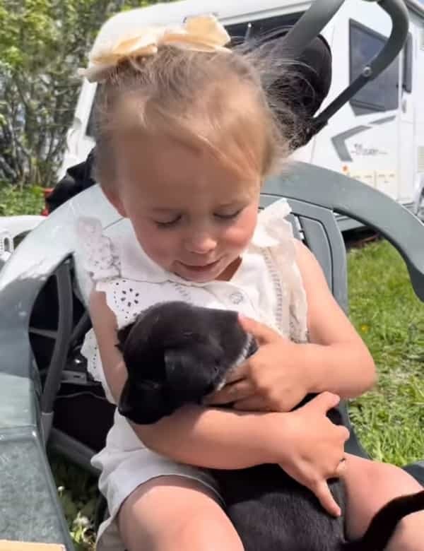 初めて会った瞬間から仲良しな2歳の女の子と子犬。お互いに惹かれ合ったのか、仲睦まじくしているその姿とても尊い【海外・動画】