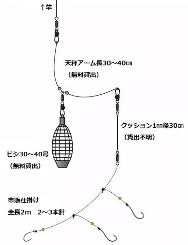 アマダイ釣りガイド入門編！道具から釣り方のコツまで徹底解剖！