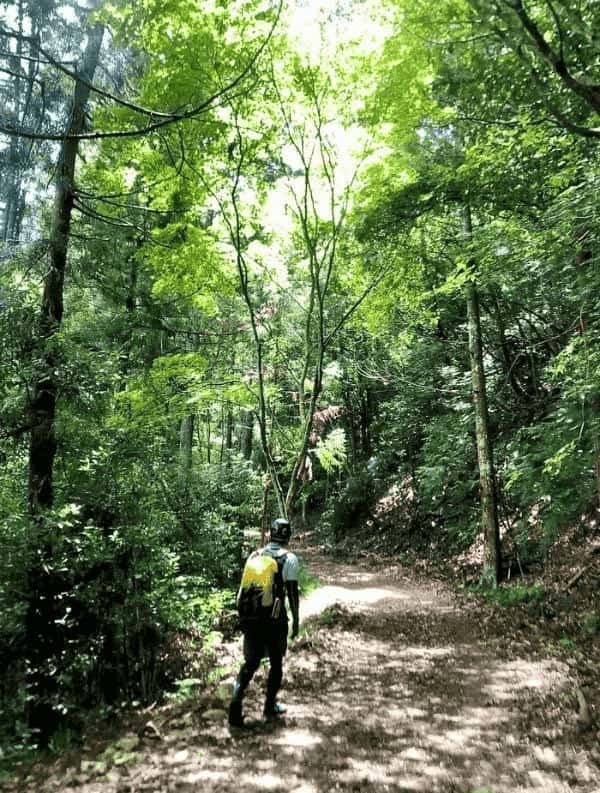 【兵庫】涼を求めて♪穴場のゆる～い沢登りスポット「日ヶ奥渓谷」in 丹波市