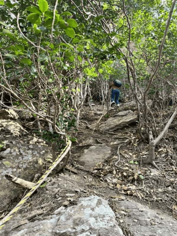 隠岐諸島で山登り！？山頂は海と大地の贅沢スポットを独り占めだった！