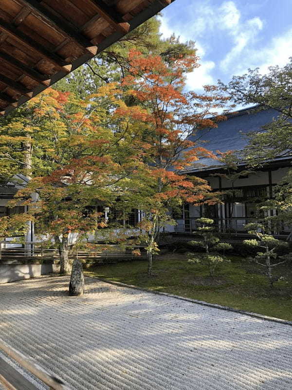 初めて訪れるなら日帰りバスツアーがおすすめ！秋の「高野山」