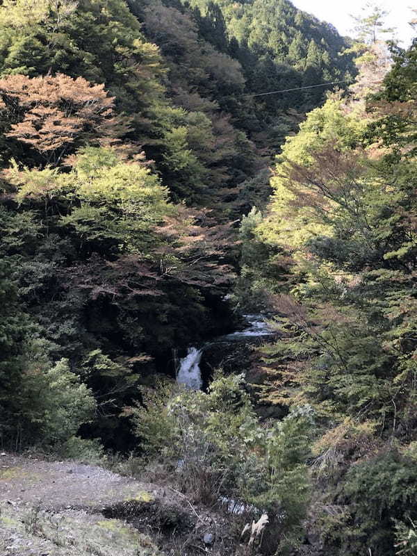 初めて訪れるなら日帰りバスツアーがおすすめ！秋の「高野山」