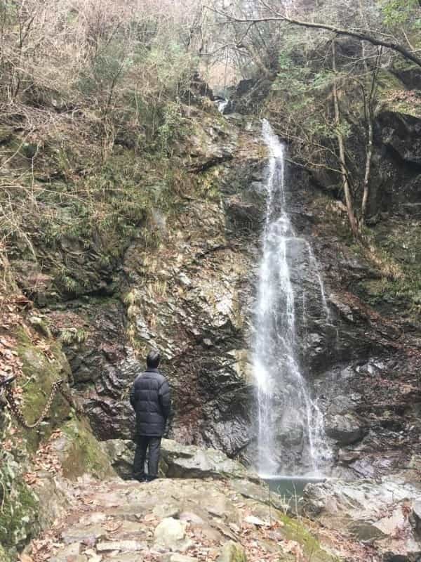 【西多摩・秋川】がおすすめ「東京にまだこんな素敵な場所があったなんて・・・」