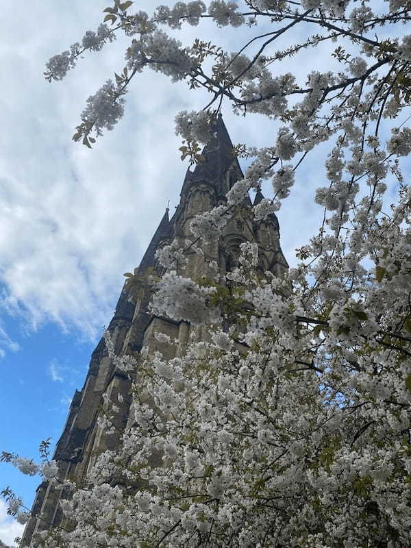 【イギリス】春のエジンバラで異国情緒溢れる桜を楽しもう!
