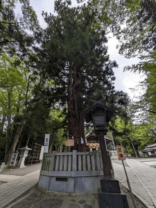 【長野県】御柱祭で知られるパワースポット 諏訪大社 下社二社 と周辺を散策