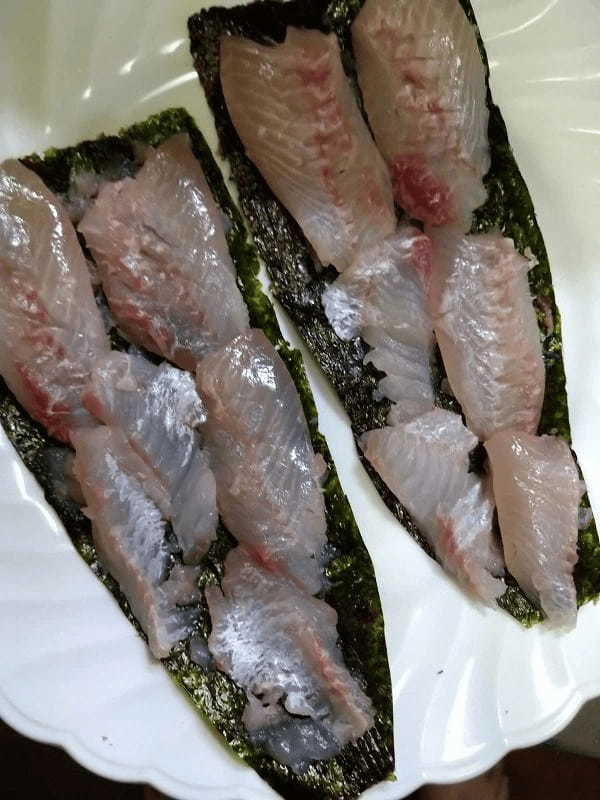 【連載】釣って食べるシリーズ！今回はマツカサの蒲焼。おまけのほうがすごい！