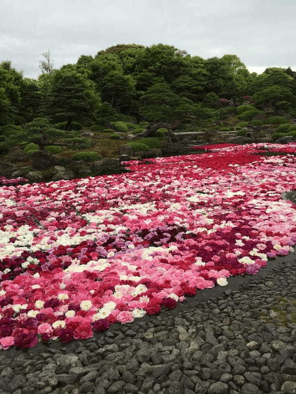 広島・島根・鳥取 / 冬の視察レポート