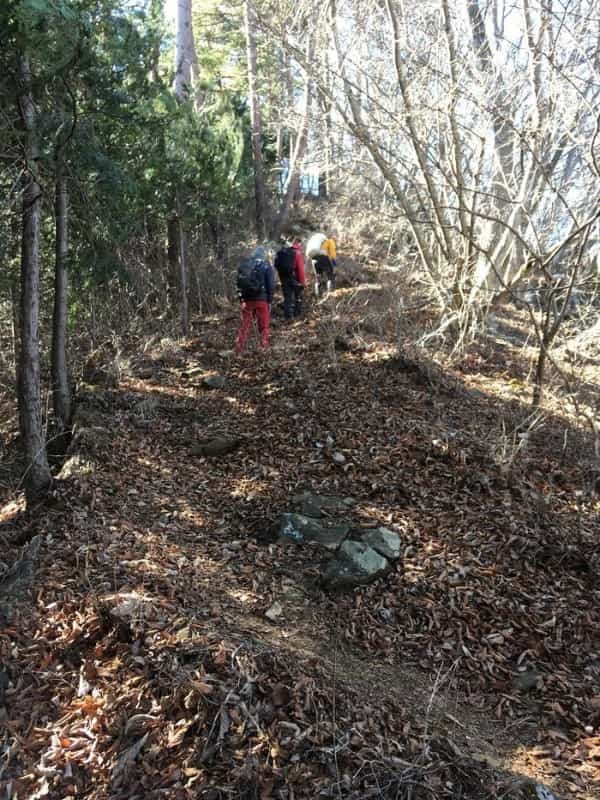 【冬の低山】秀麗富嶽十二景「九鬼山（970ｍ）」のおすすめポイント