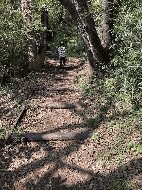 【神奈川・横浜】横浜市最高峰『大丸山』お気軽ハイキングでちょっと山頂へ♪