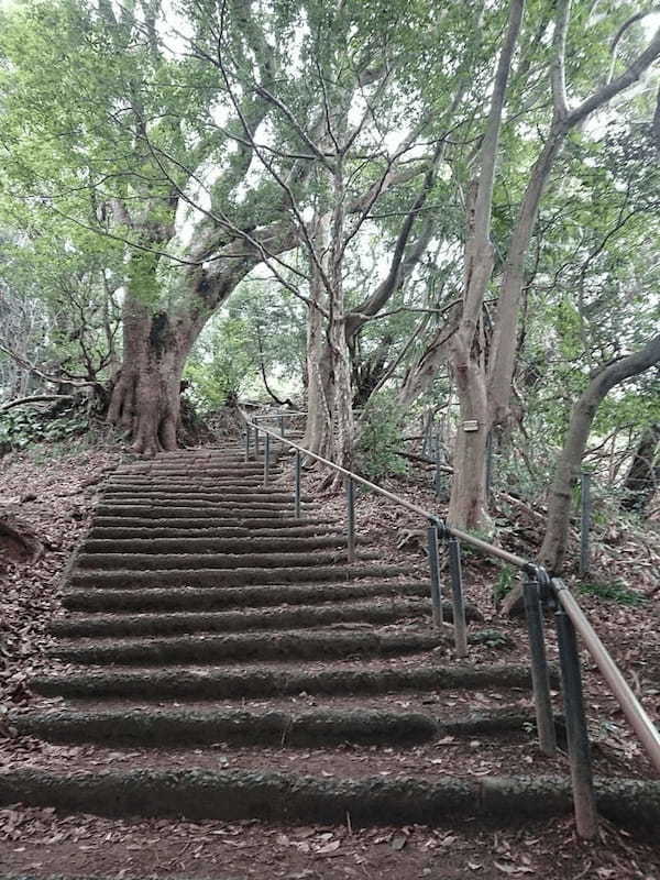 【静岡】至高のツナ缶と清水の絶品刺身定食、そして静岡駅周辺のみどころを紹介