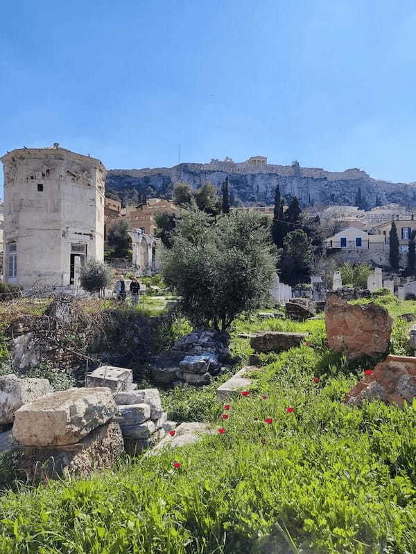 2023年、ギリシャの物価は？コスパよく旅するコツ