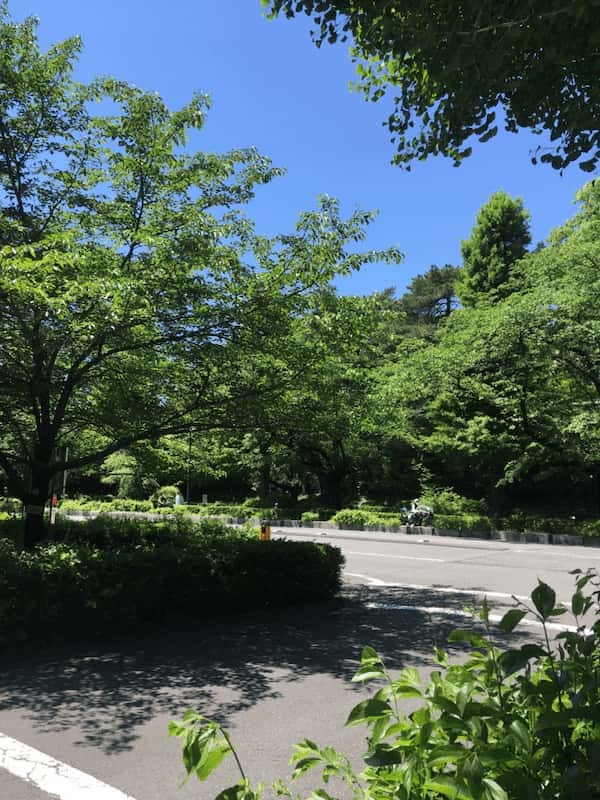 脚だけが頼り ～コロナ疲れ解消・朝の野川公園から国立まで～