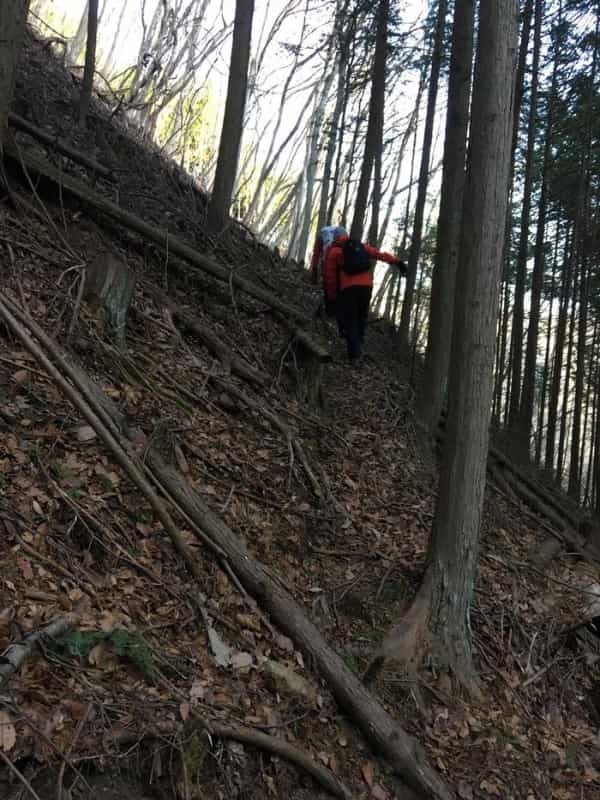 【秀麗富嶽十二景】最終十二番山頂の「本社ヶ丸」はマジきつかった。。。