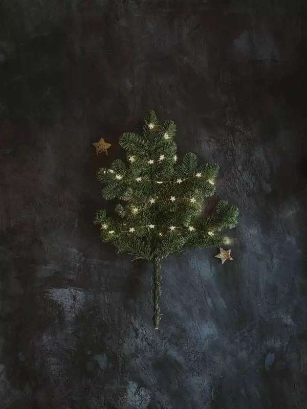 【連載】クリスマスリースに使える生花はどれ?花屋で買える花材<枝もの編>