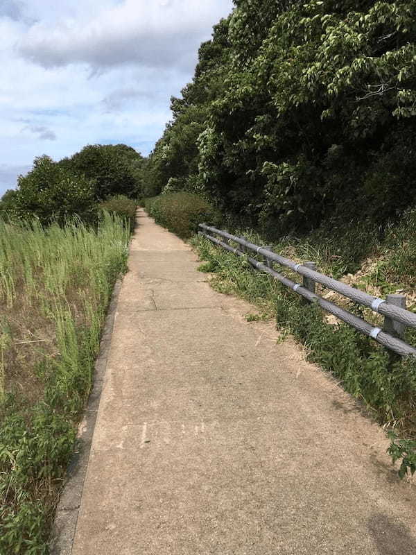 山口県の絶景と最果てロマン。毘沙ノ鼻と角島大橋めぐり