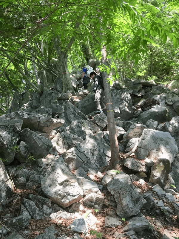 【奥武蔵】武川岳～焼山～二子山 縦走登山ルート