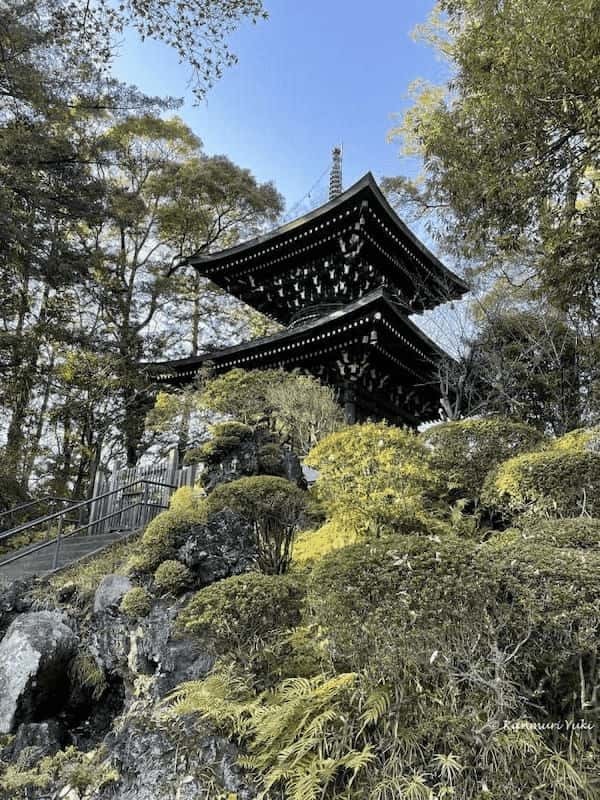 晴れの町、熊谷の国宝と桜の名所