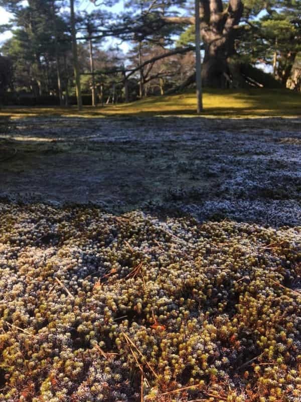 片山津温泉の観光スポット＆温泉旅館「加賀八汐」のカニ会席を満喫♪冬の北陸で温泉とグルメを楽しみました！