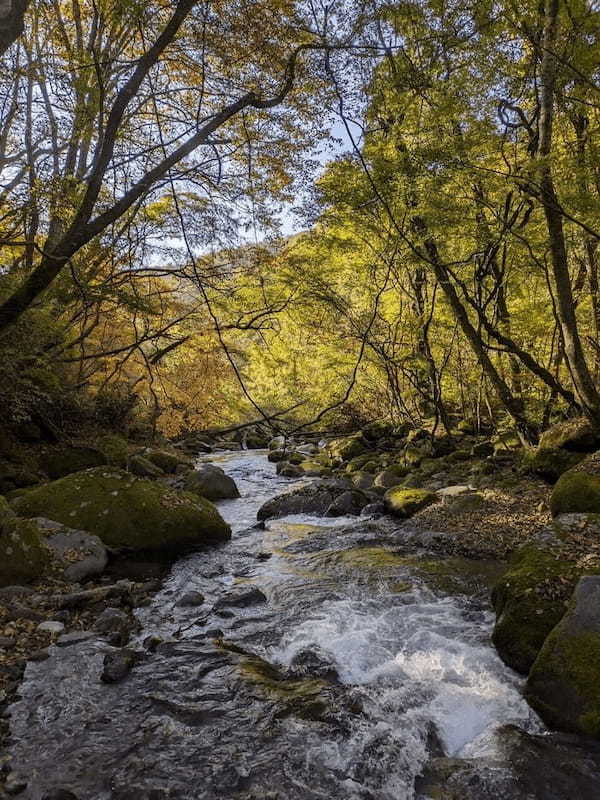 【山梨】南アルプスの天然水のふるさと 北杜市の見どころ