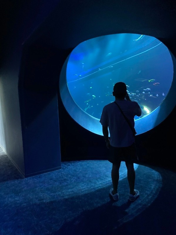 【連載】沖縄の水族館「美ら海水族館」「かりゆし水族館」どちらがおすすめ？