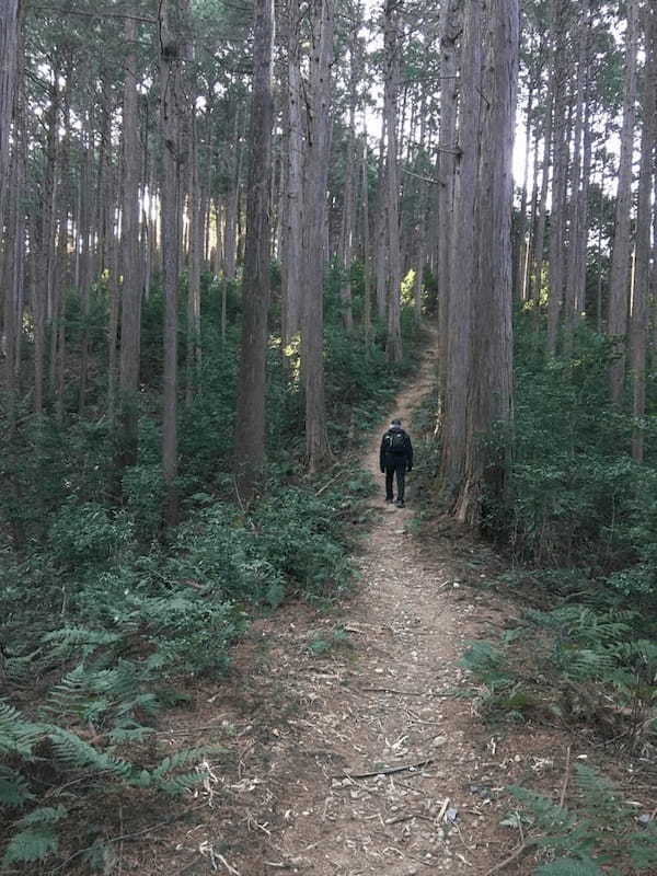【埼玉・飯能】顔振(かあぶり)峠:義経伝説と渋沢平九郎の悲劇の舞台