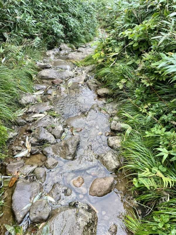 【日本百名山】1座目は地獄と天国を体験した月山登山（山形県）