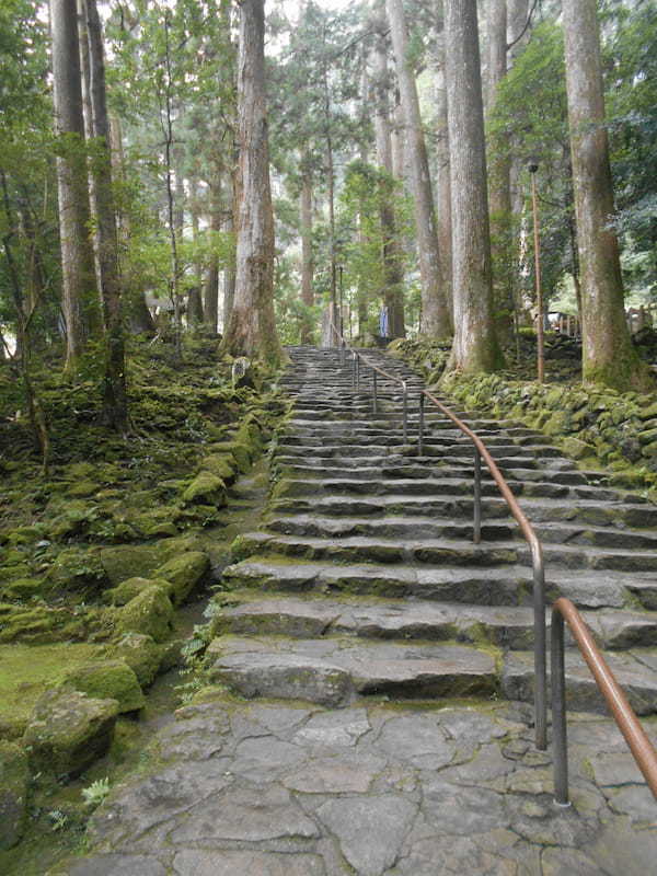 和歌山「那智山青岸渡寺」。滝壺の水を1杯飲むと10年長生きする？