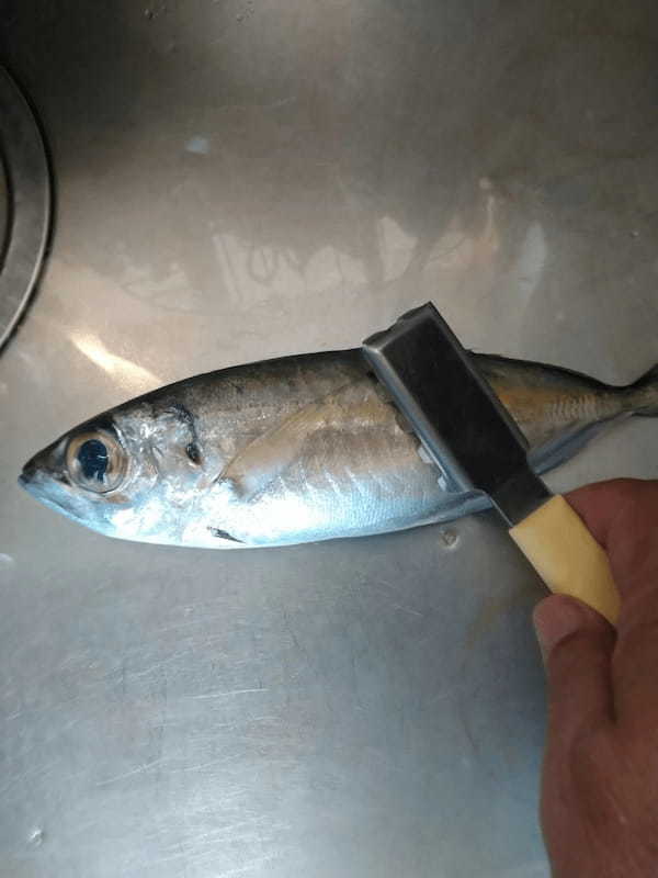 【連載】釣っ食べ第29弾は・・メアジを使ったふっくら「アジフライ」