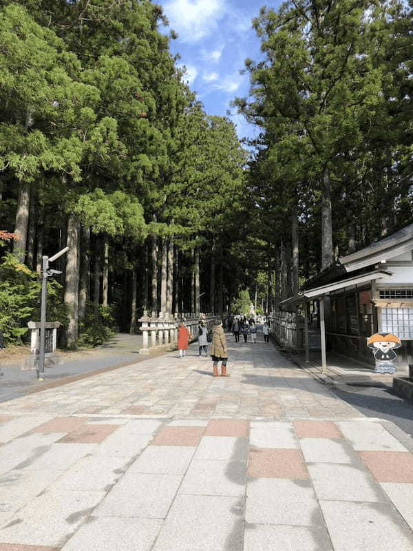 初めて訪れるなら日帰りバスツアーがおすすめ！秋の「高野山」