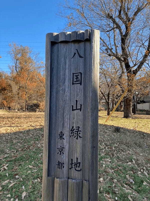 【首都圏からおでかけおすすめ！】ちょっとした山登り気分も味わえる狭山丘陵の都立公園散歩