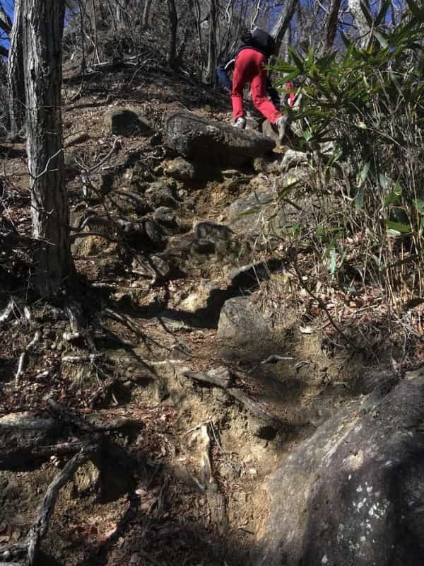 【冬の低山】秀麗富嶽十二景「九鬼山（970ｍ）」のおすすめポイント