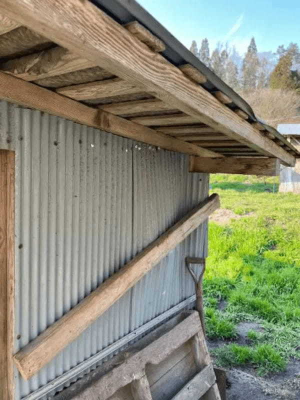 【エスケープゴート】ヤギの飼育小屋で珍事件発生　まさかの場所から大脱走