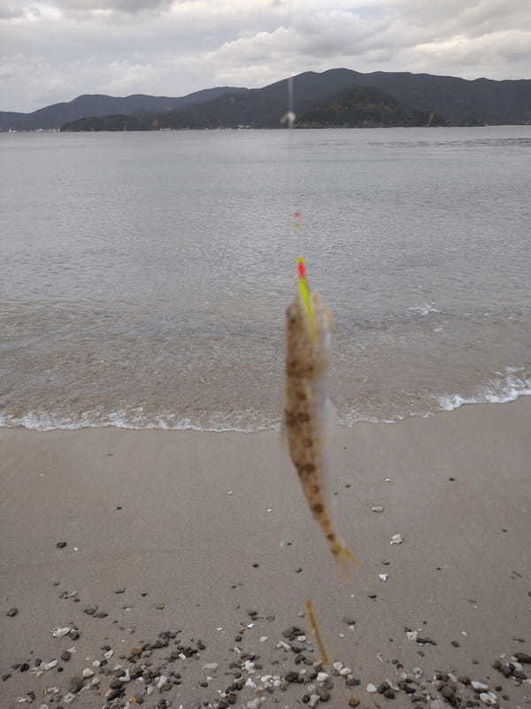 【連載】南の島の釣り事情「雨・風・珍魚のものがたり」正月用に何か釣れ！