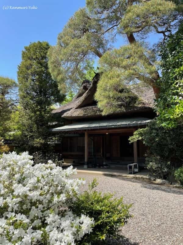 【埼玉県】故郷に錦を飾った遠山邸の美学