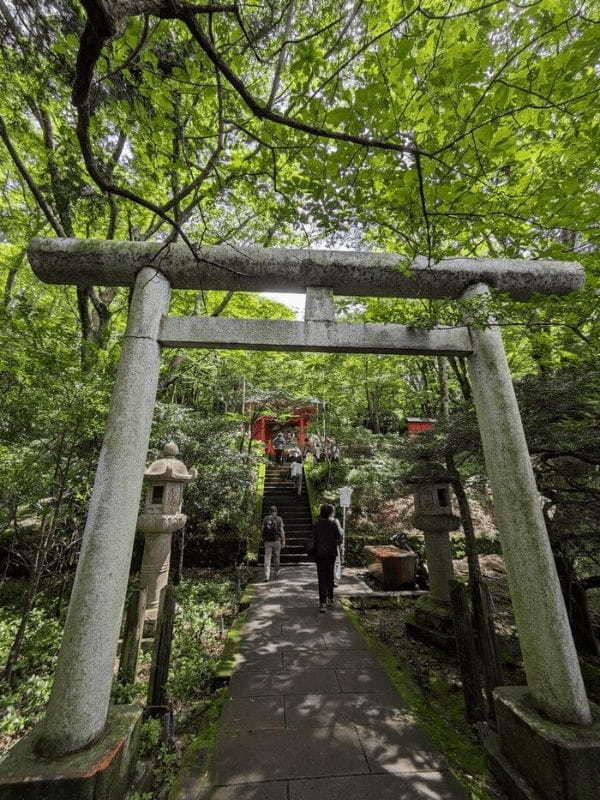 【神奈川】涼を求めて 箱根芦ノ湖畔の九頭竜神社参拝と絶品グルメ