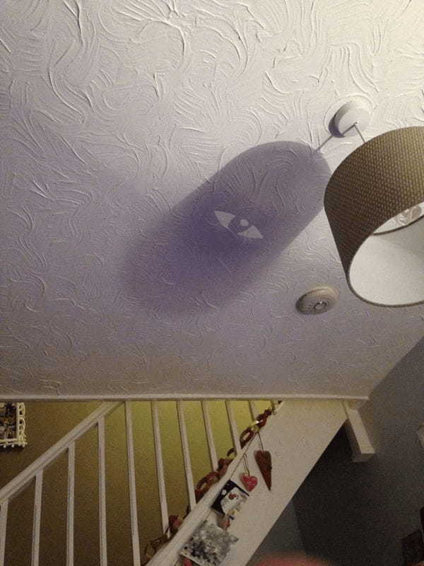 こんな偶然ある?現実よりステキな奇跡の影たちの写真11選