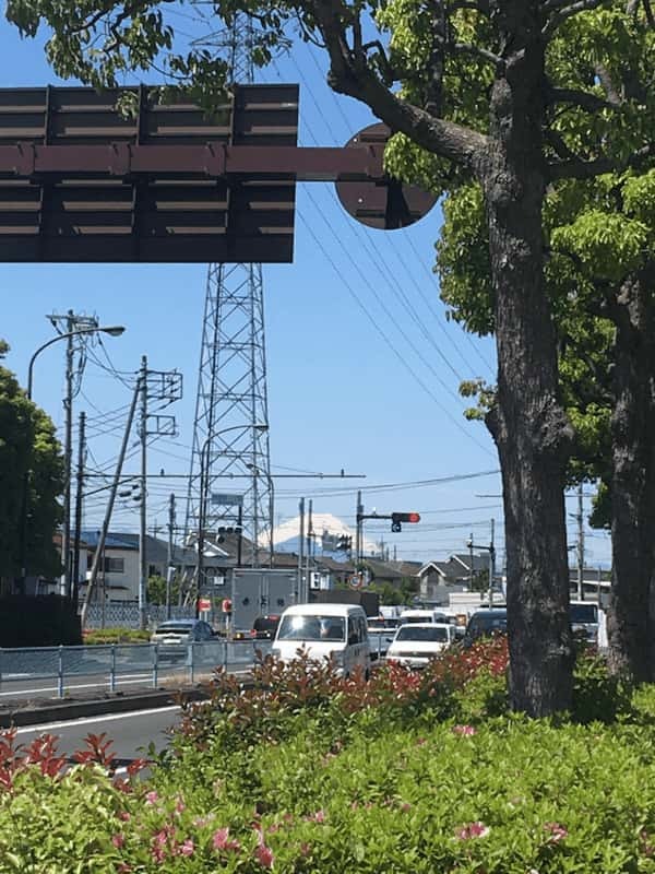 脚だけが頼り ～コロナ疲れ解消・朝の野川公園から国立まで～