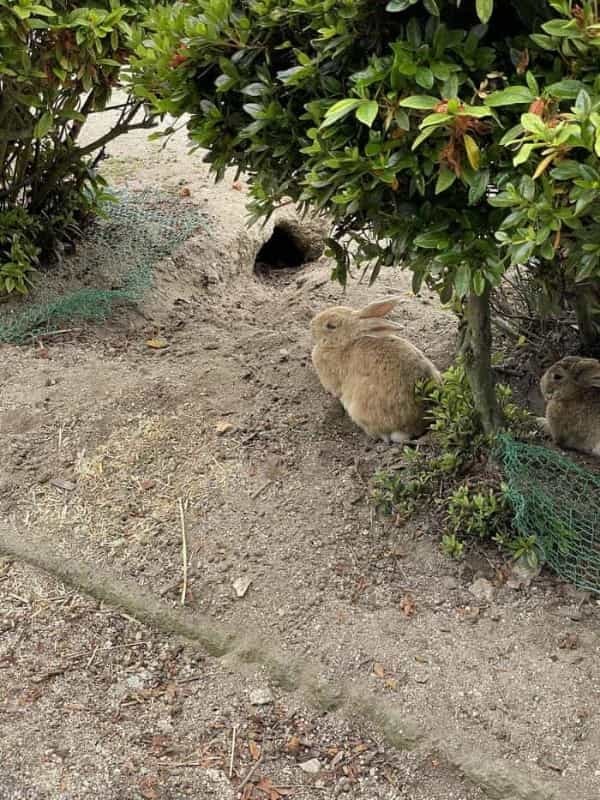 観光列車etSETOraとシースピカで瀬戸内島旅ぐるりたび