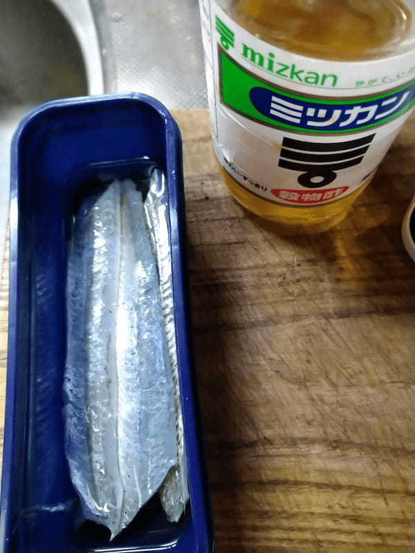 【連載】釣っ食べ第22弾！シメ鯖よりうまい。シメダツのすすめ！