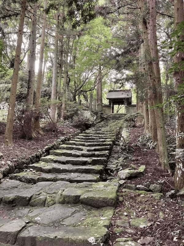 【大分・国東半島・両子寺】森林浴の森 日本100選！深い森の中にある山岳仏教信仰の寺