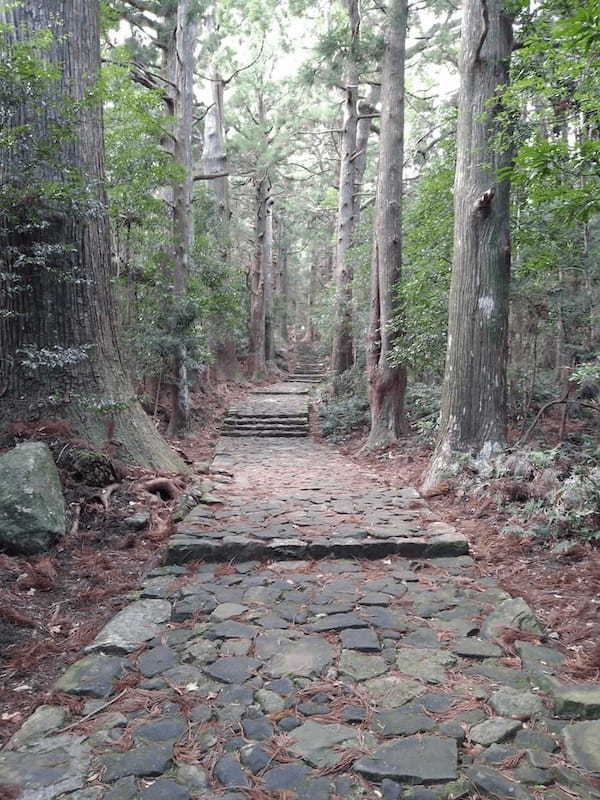 大阪からお得に那智の滝・熊野那智大社へ ～弾丸日帰り編～