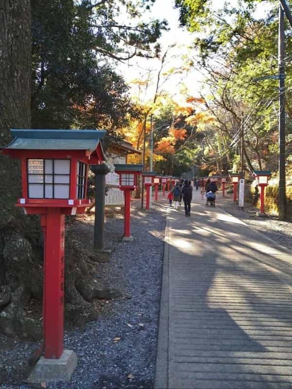 初心者でも楽々登頂！都内からお得に冬の高尾山日帰り旅行♪