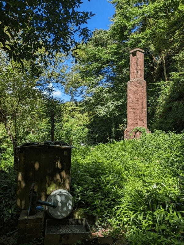 【神奈川】私の真夏の鎌倉 大人な旅 名刹とグルメを求めて