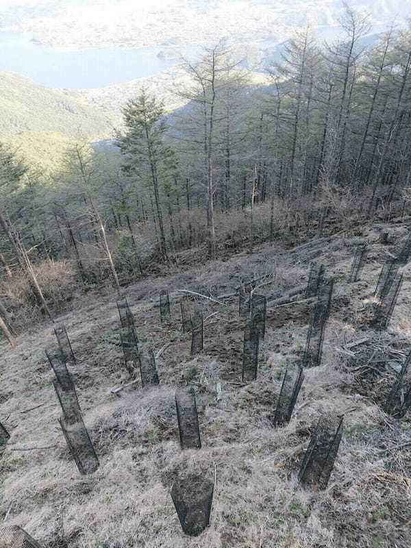 【山梨県】FUJIYAMAツインテラス から見る富士山と河口湖の絶景