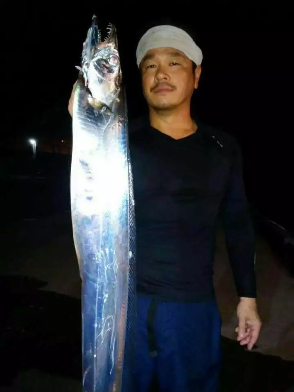 【初心者向け】太刀魚釣りの攻略ガイド！餌の仕掛けから釣り方のコツまで徹底解説！